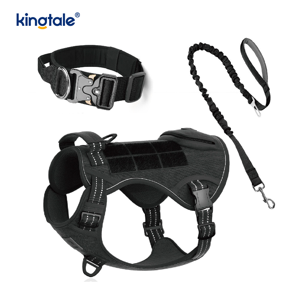 Training Nylon No Pull Dog Collar Leash Harness Set with Control 