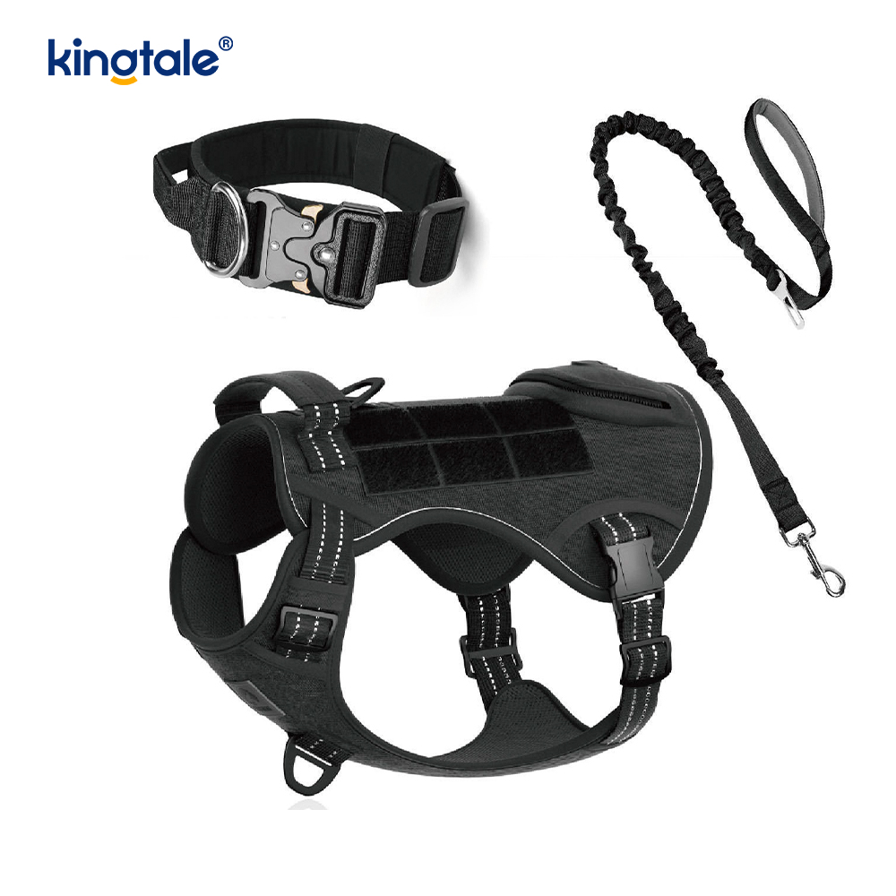 Training Nylon No Pull Dog Collar Leash Harness Set with Control 