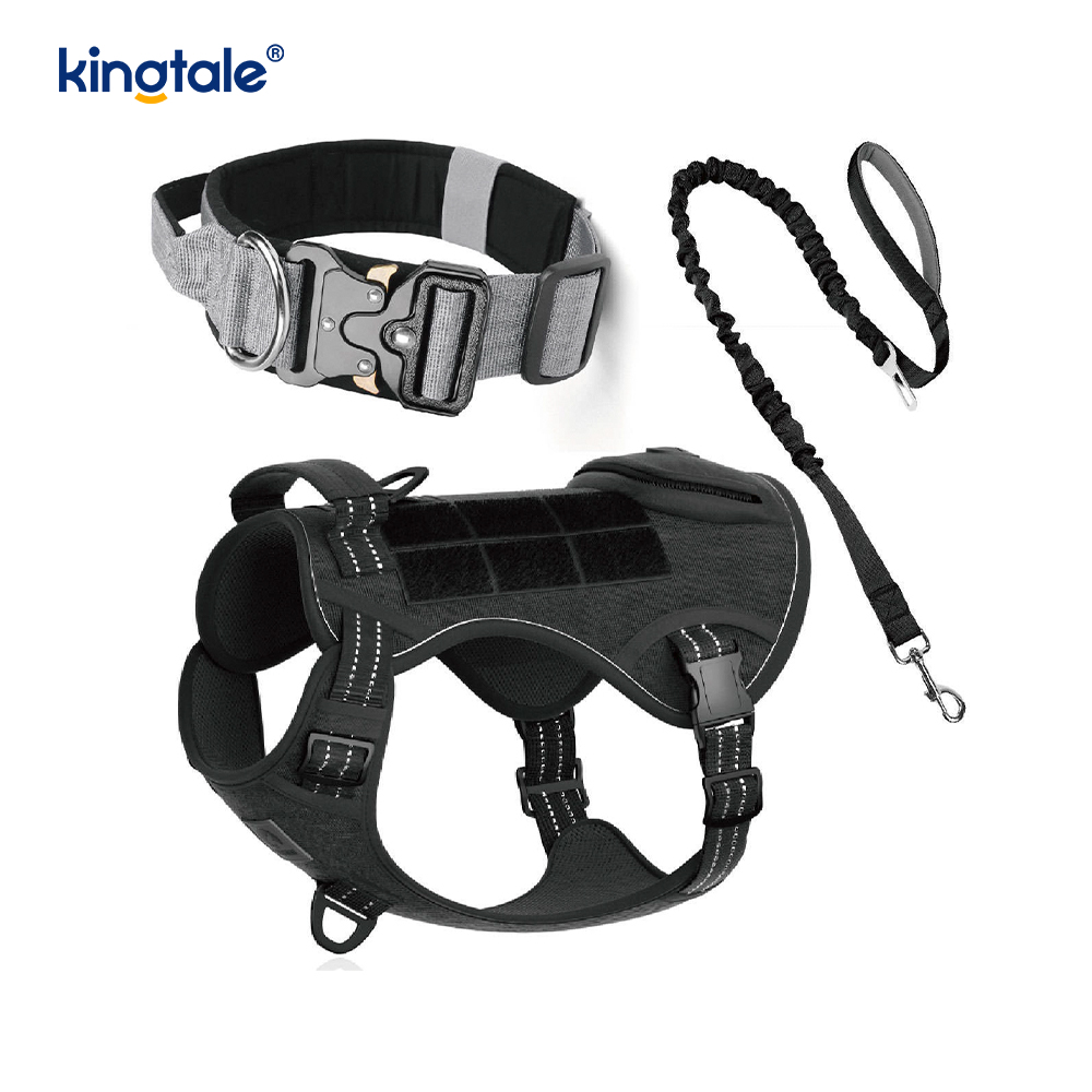 Training Nylon No Pull Dog Collar Leash Harness Set with Control 