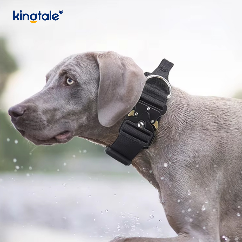 Training Nylon No Pull Dog Collar Leash Harness Set with Control 