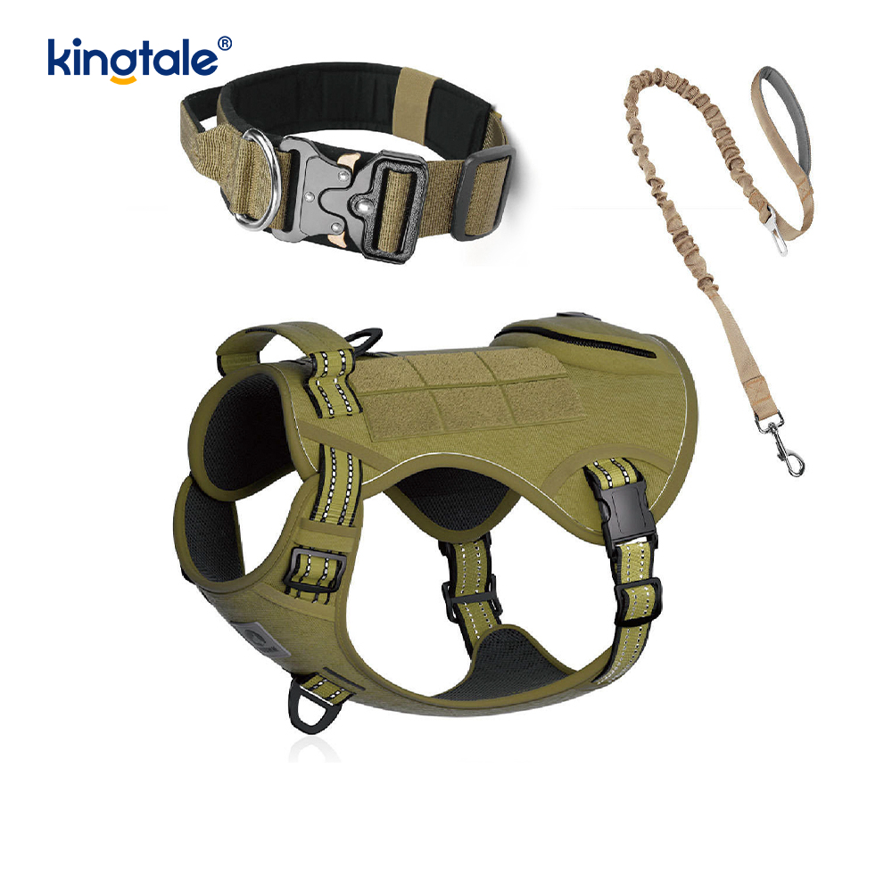 Training Nylon No Pull Dog Collar Leash Harness Set with Control 