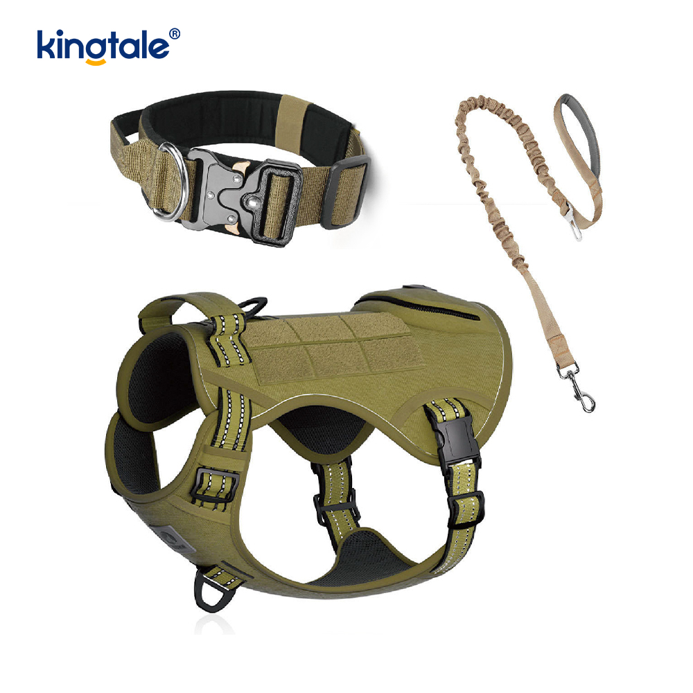 Training Nylon No Pull Dog Collar Leash Harness Set with Control 