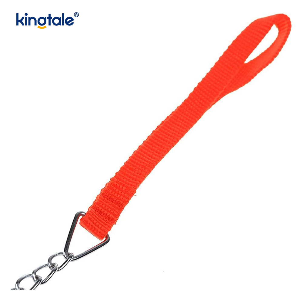 Extra Fine Chain Pet Dog Puppy Leash Training Lead Chain  