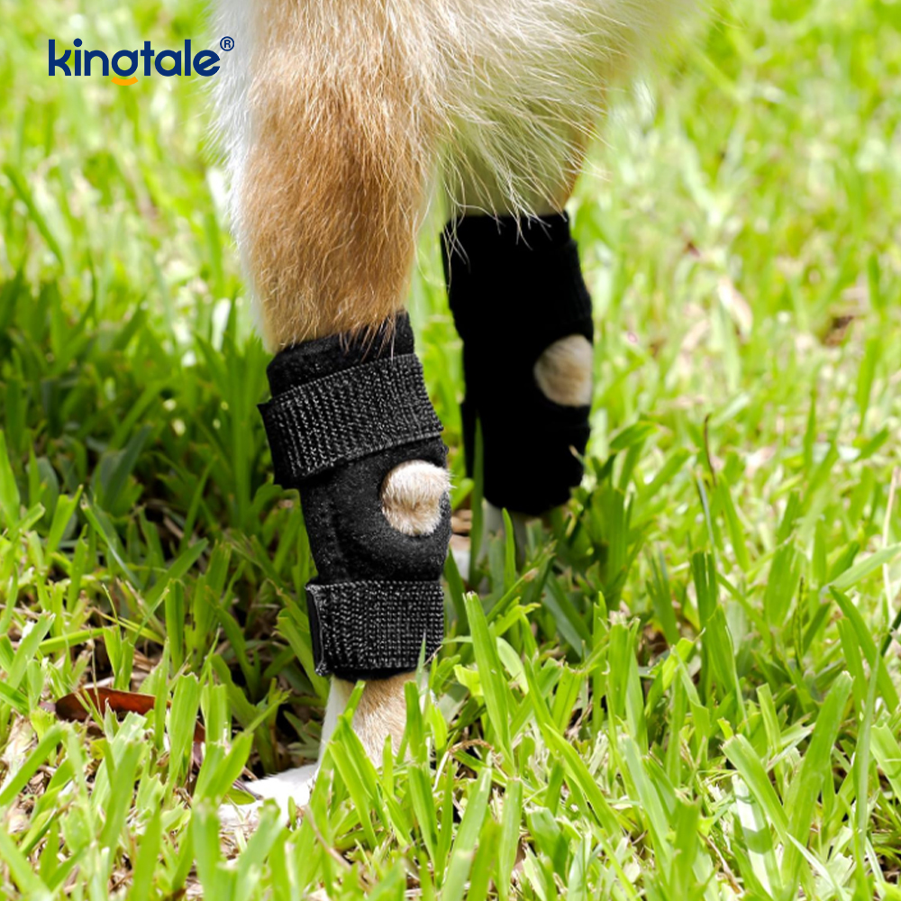 Dog Knee Brace Dog Hind Leg Brace Canine Rear Leg Joint Compression Wrap