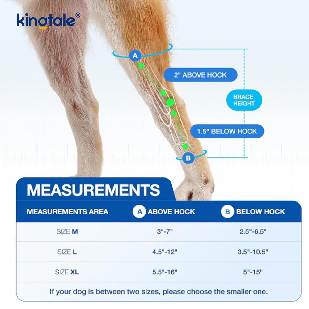Dog Knee Brace Dog Hind Leg Brace Canine Rear Leg Joint Compression Wrap