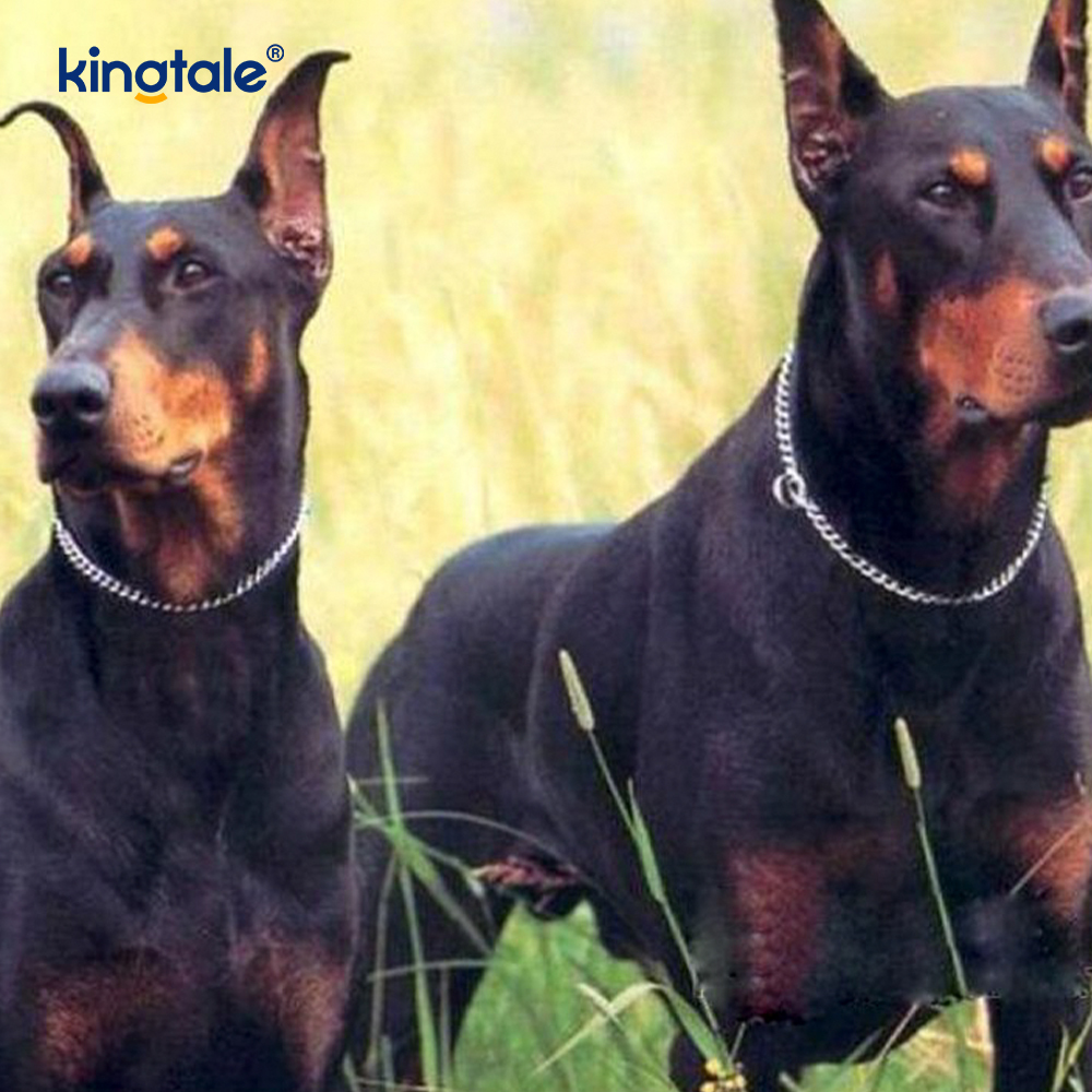 Chrome Plated Flat Metal Dog Choke Chain Dog Collar for Pets