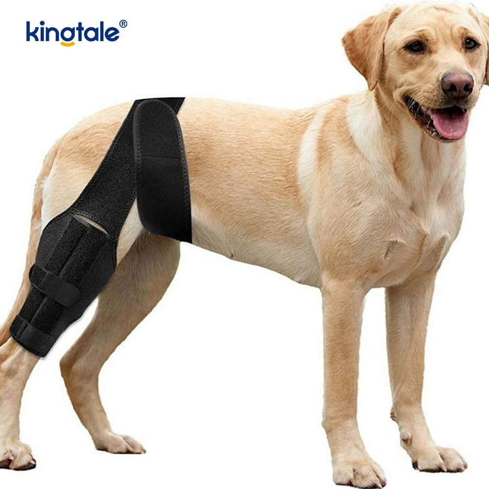 Dog Leg Bandage Dog Leg Brace for Rear Leg