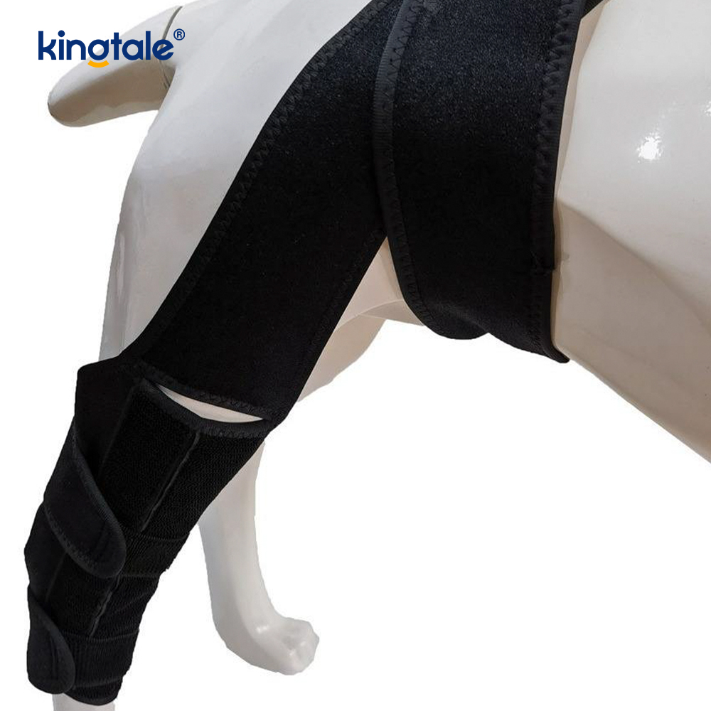 Dog Leg Bandage Dog Leg Brace for Rear Leg
