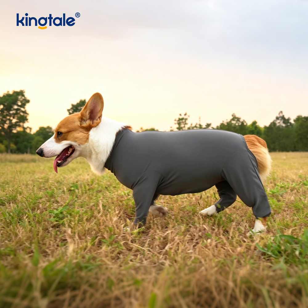 Anti-shedding Four-legged Breathable Pet Clothes Dog 