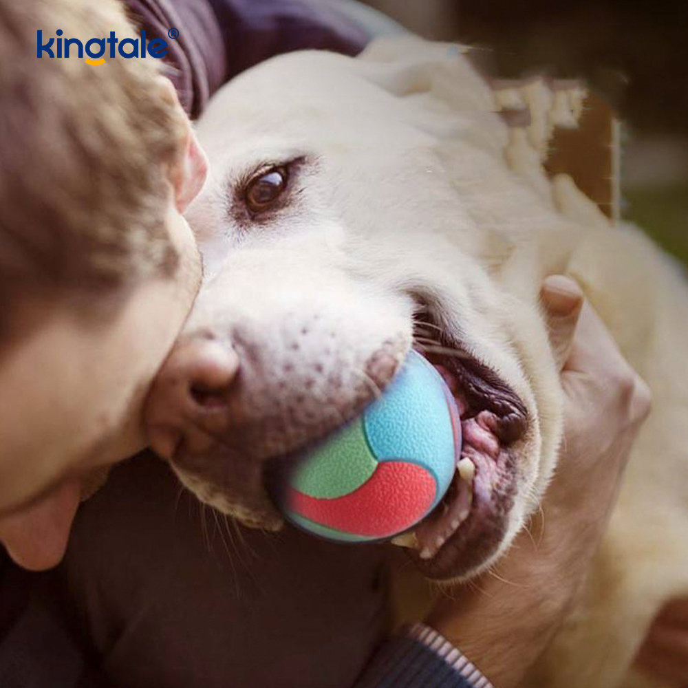 Durable Bite-Resistant Toy Ball for Dog Teeth Cleaning Bite Resistance Squeaky