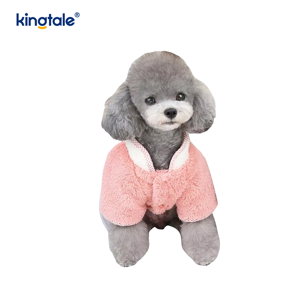 Winter Dog Clothing