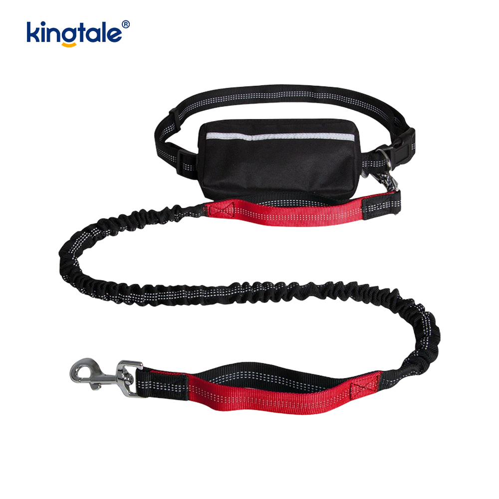 Reflective Elastic Double Running Pet Leash With Zipper Pouch